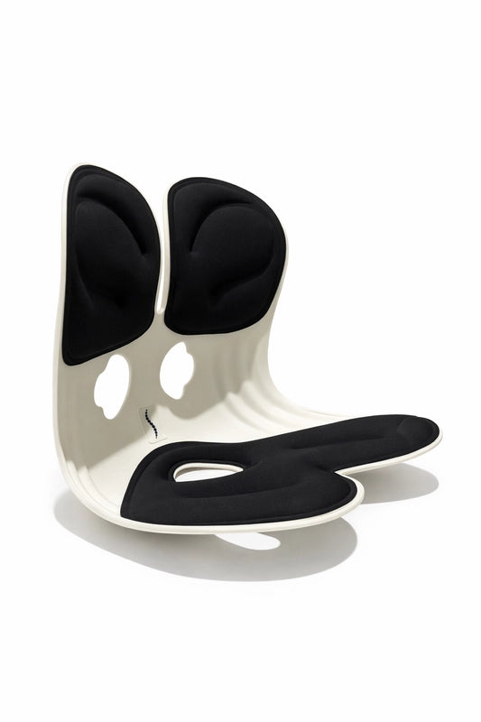 SpineSure Premium Back Support Cushion