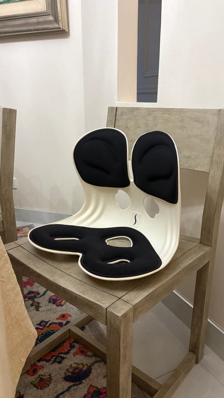 SpineSure Premium Back Support Cushion